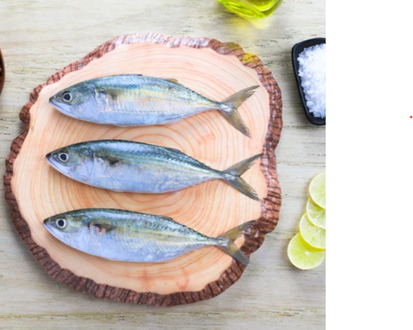 Indian Mackerel / Bangda (बांगडा)