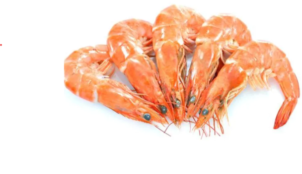 Prawns – Medium (30-50 Count)